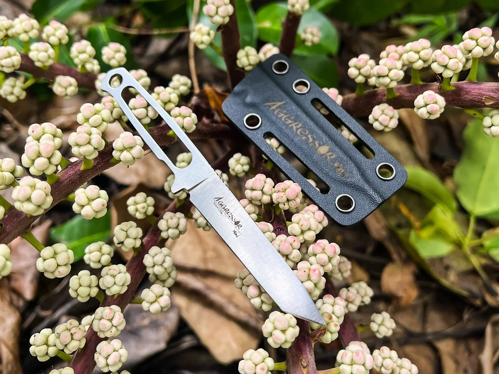 Aggressor Mini compact fixed blade with Kydex sheath outdoors