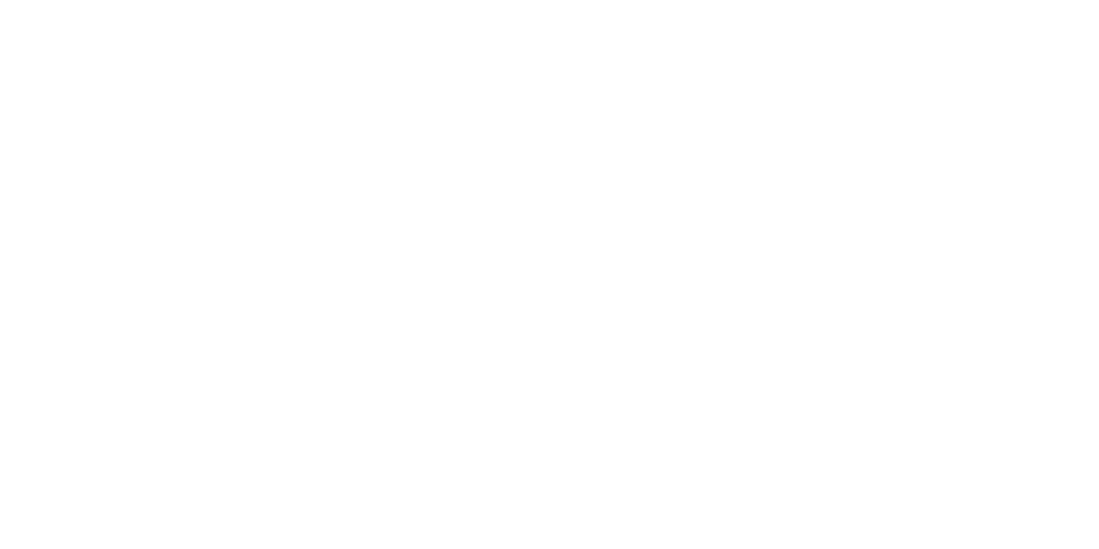 Your Company