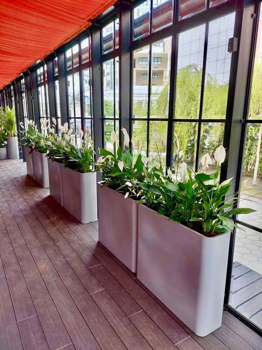 Напольные кашпо с растениями в интерьере ресторана