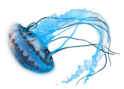 Разработка обучающих курсов