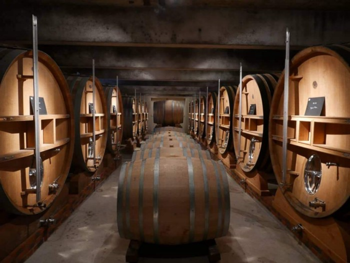 Jacquesson cellar