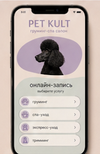 Stories и Reels