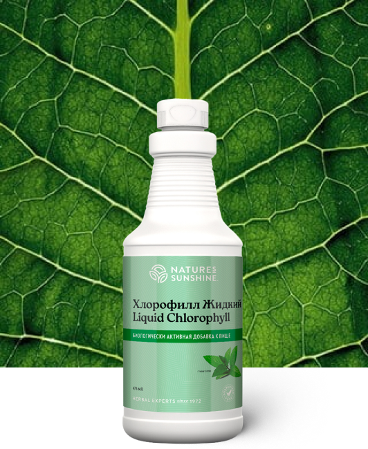 hlorofill-zhidkij-nsp