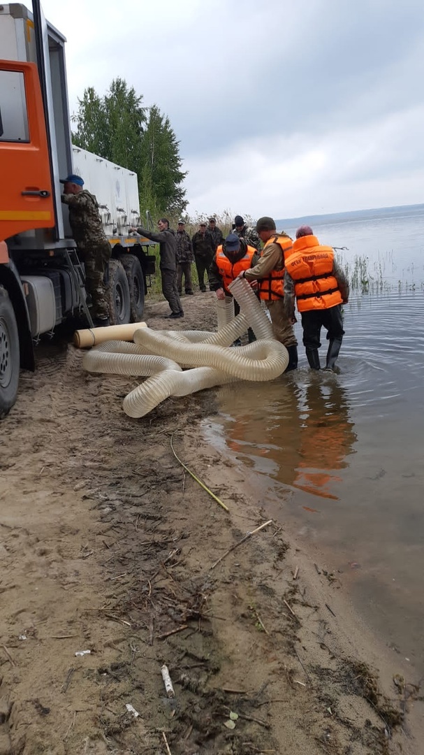 Акт зарыбления водоема образец