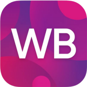 website icon