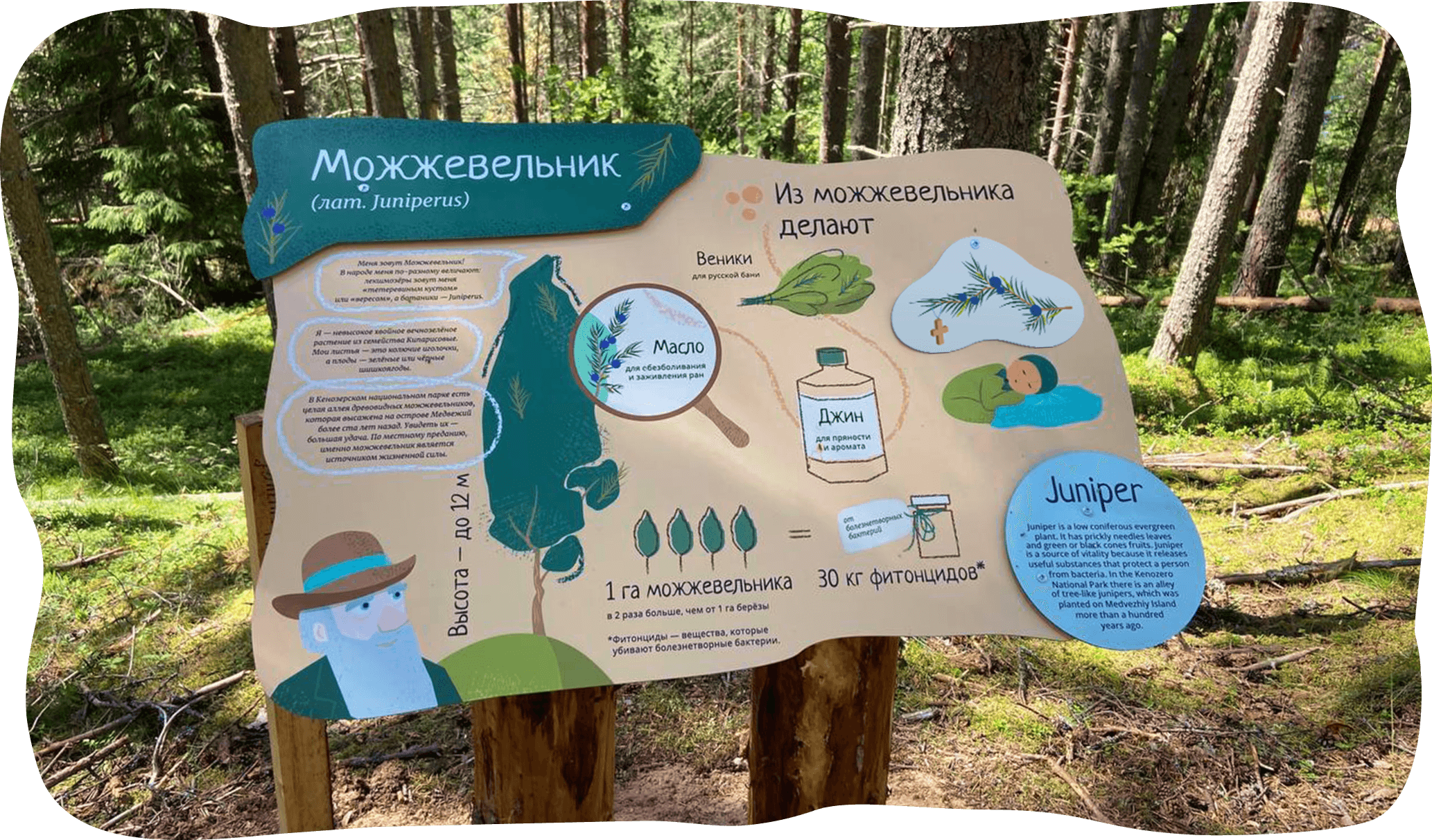 Экотропа абрау. Экотропа Кургальский. Экотропа Архыз. Экотропы в Архызе. Гладышевская эко тропа