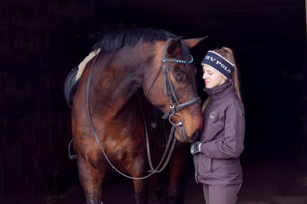 Лошадь по кличке Клоша - ласковая и чуткая лошадь
