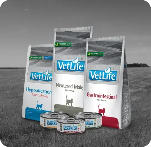 Vet Life Feline
