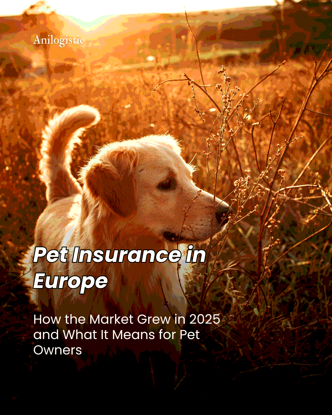 Pet insurance in Europe — growth of the pet insurance market in 2025
