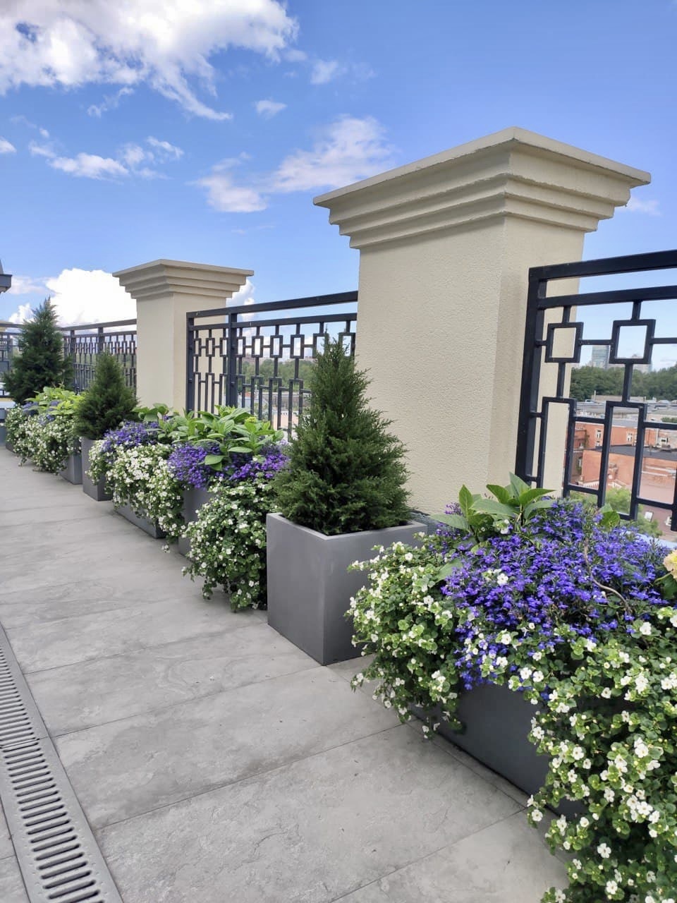 Озеленение террас в Москве: цена | Заказать озеленение летней веранды ...