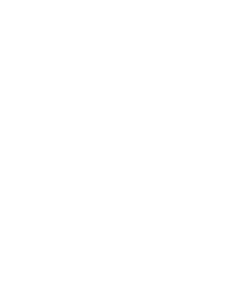 Знак SNF Schneidteufel