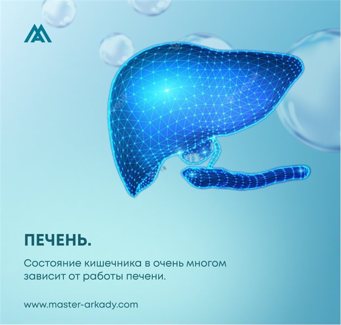 Печень