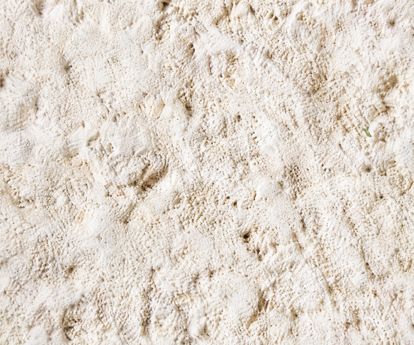 Travertine surface detail
