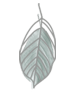 цветы Полтава