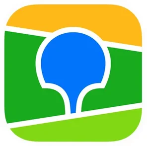 website icon