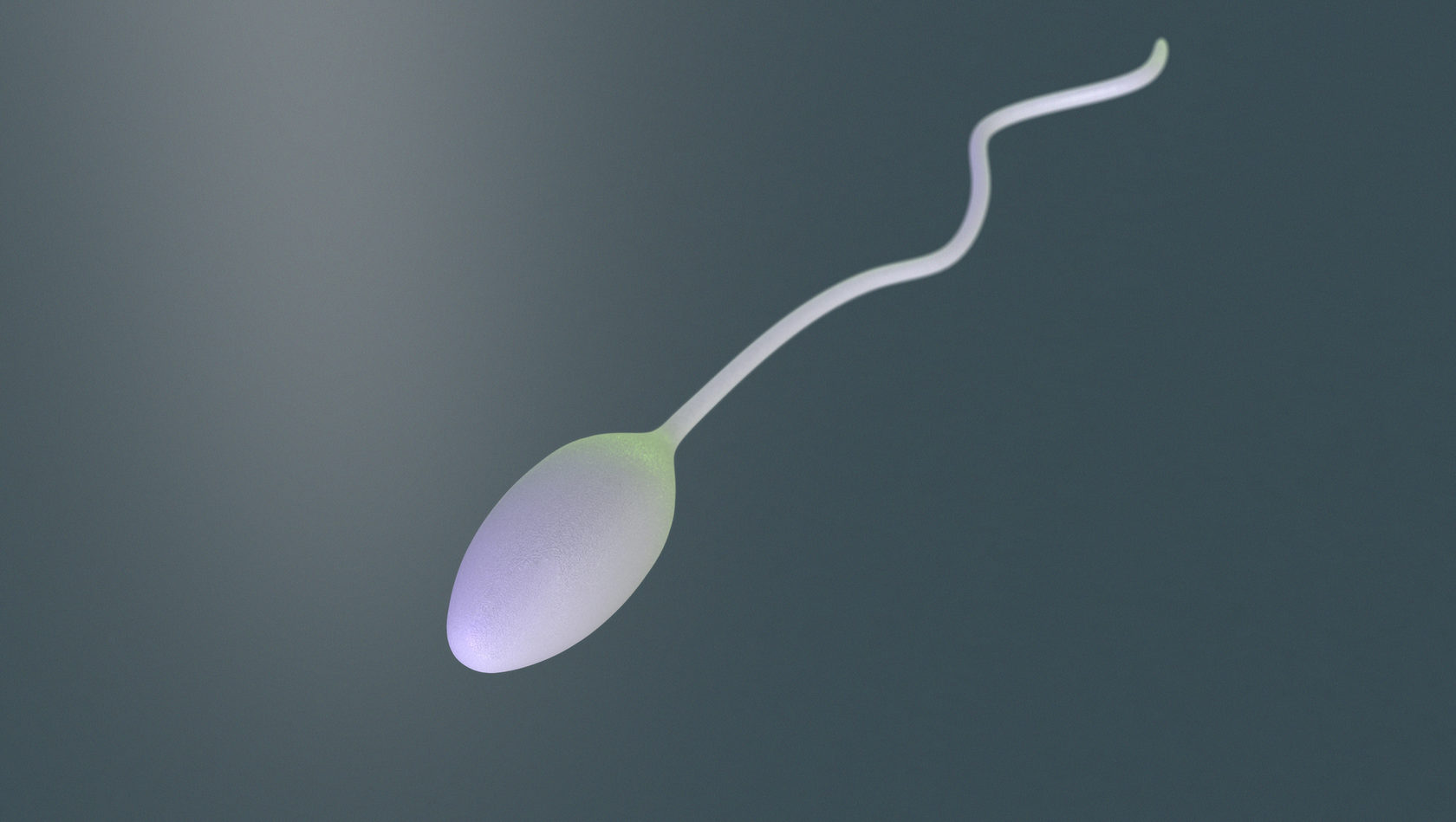 Самый быстрый сперматозоид