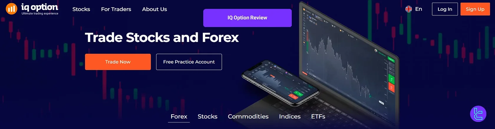 iq option banner