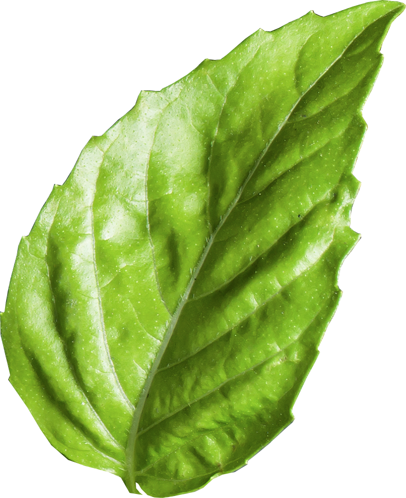 Программы питания