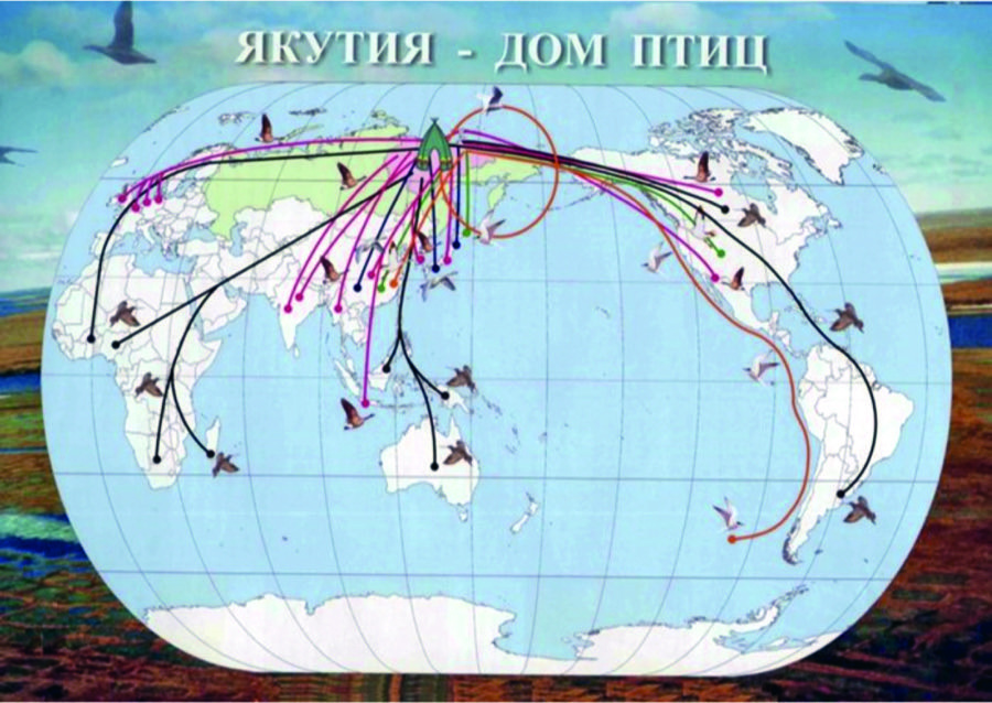 Карта миграции журавлей из россии
