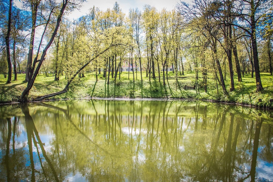 Лопасня. Парк Лопасня. Городище Лопасня. Бучнев Лопасня. Лопасня Чехов реаа.