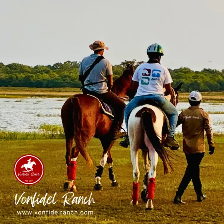 Two mounted guests and a guide walking beside them across wetland grass at Vonfidel Ranch in Sri Lanka.