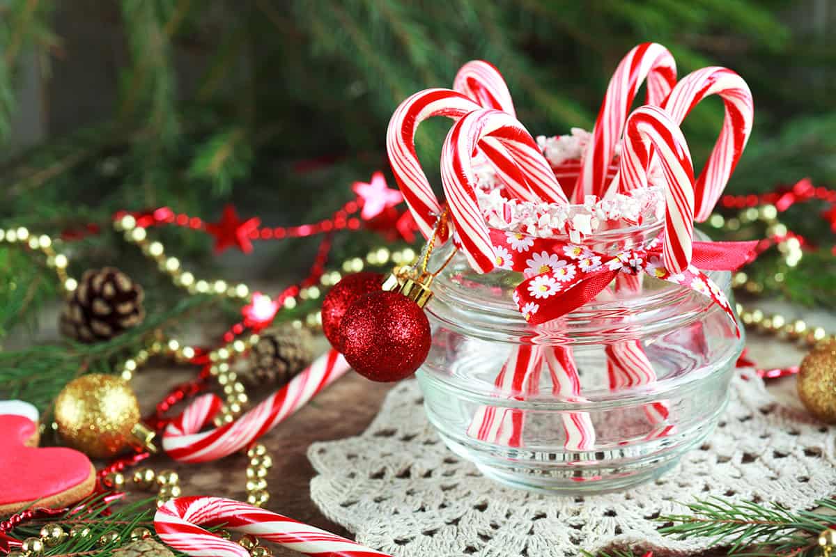 Кэнди Кейн Лейн