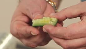 Приготовление салата из битых огурцов по рецепту Ивлева: шаг 5