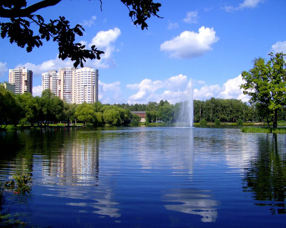 Печать Фото Реутов – Telegraph