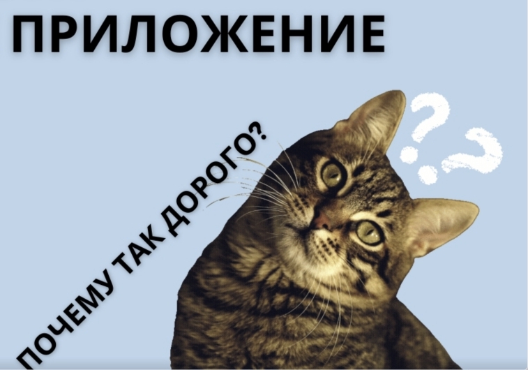 Сколько стоит мобильное приложение ресторана и доставки? Почему так дорого?