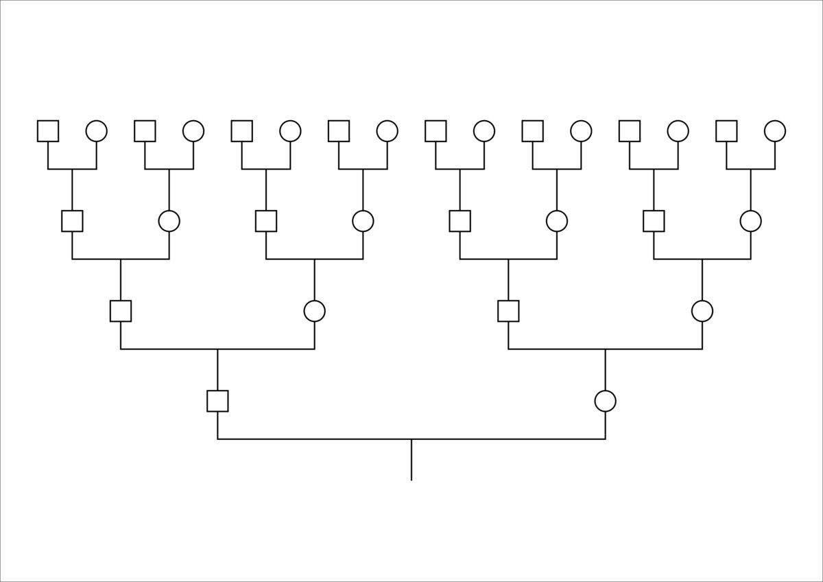 Схема родового дерева шаблон до 7 колена