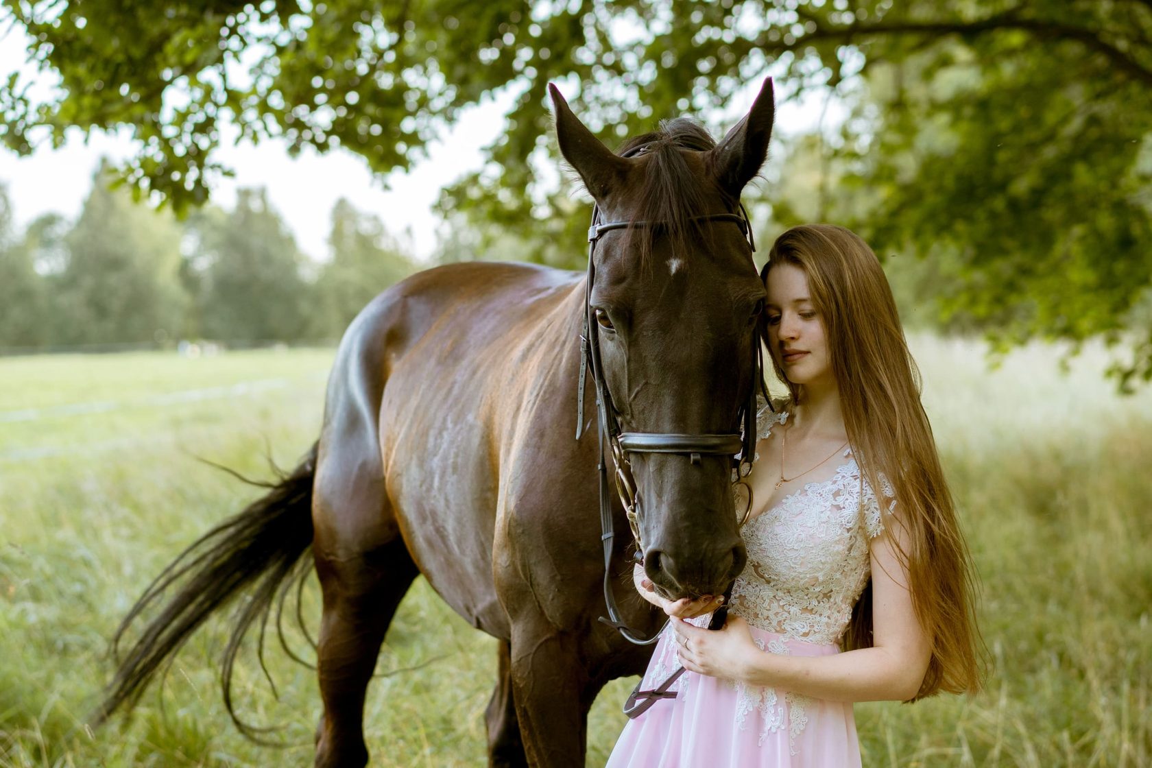Красивое фото с лошадью как сделать