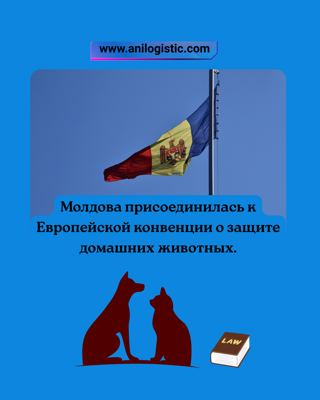 Молдова присоединилась к Европейской конвенции о защите домашних животных — новые правила с 1 сентября 2025 года