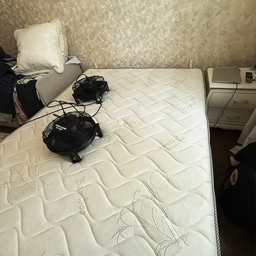 Химчистка матраса на дому в Москве от вина: сушка мебельным феном