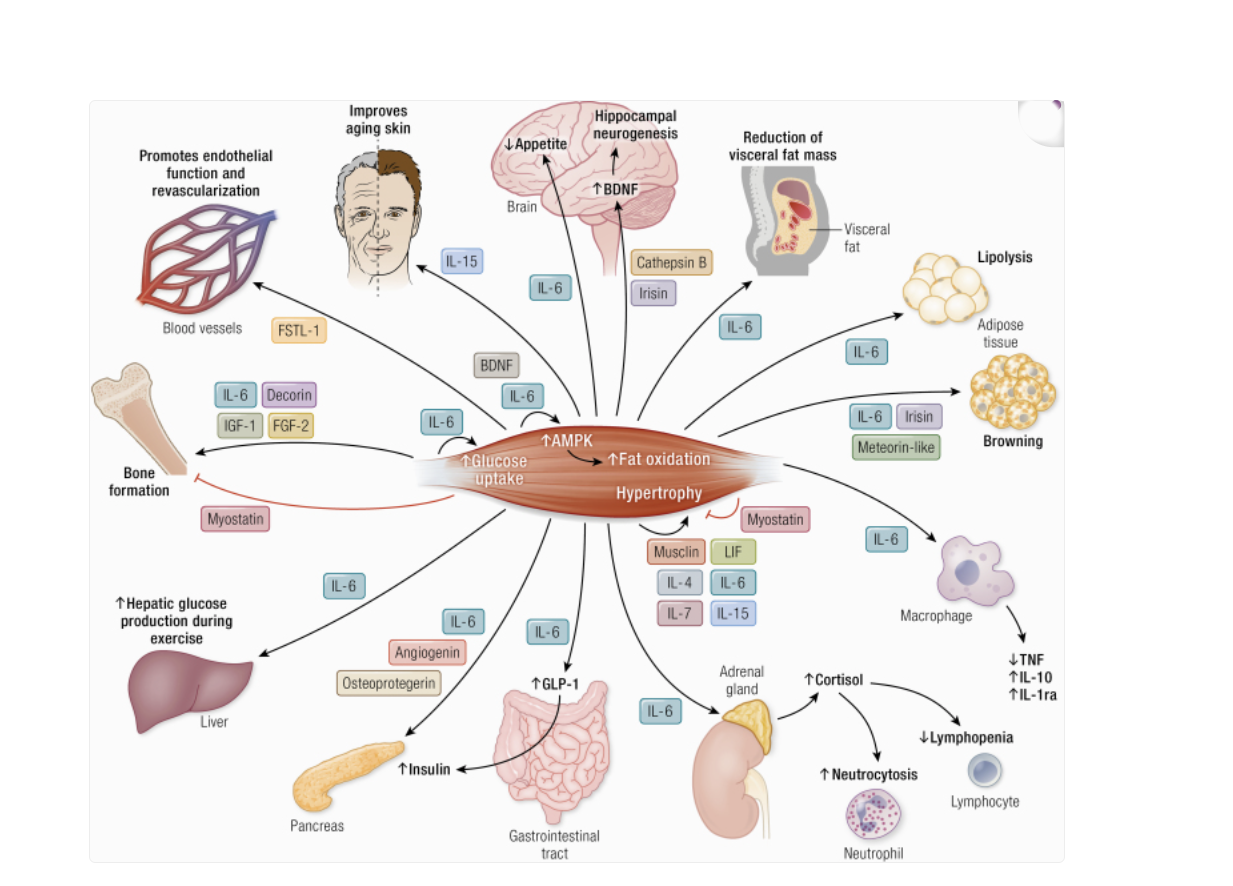 Ein Bild, das Text, Diagramm, Menschliches Gesicht enthält.
KI-generierte Inhalte können fehlerhaft sein.