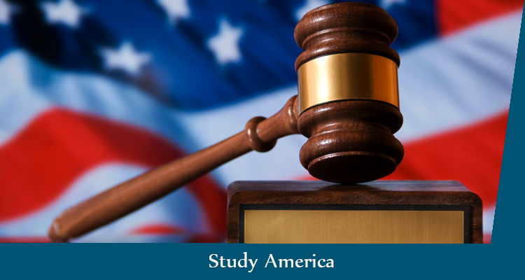 сколько зарабатывают адвокаты в США