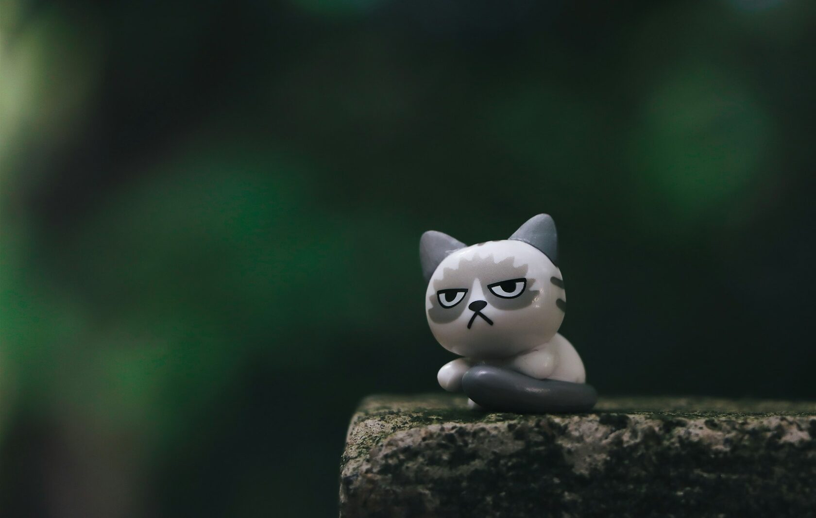 Кот Муся работает