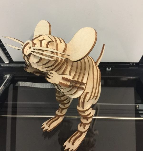 Конструкторы-пазлы