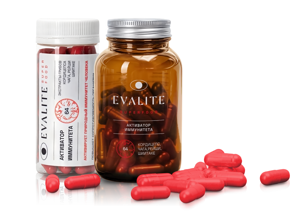 Активатор иммунитета — грибы Кордицепс, Чага, Рейши, Шиитаке