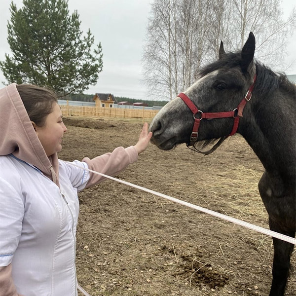 Большой арт-объект лошадь винтажное дерево