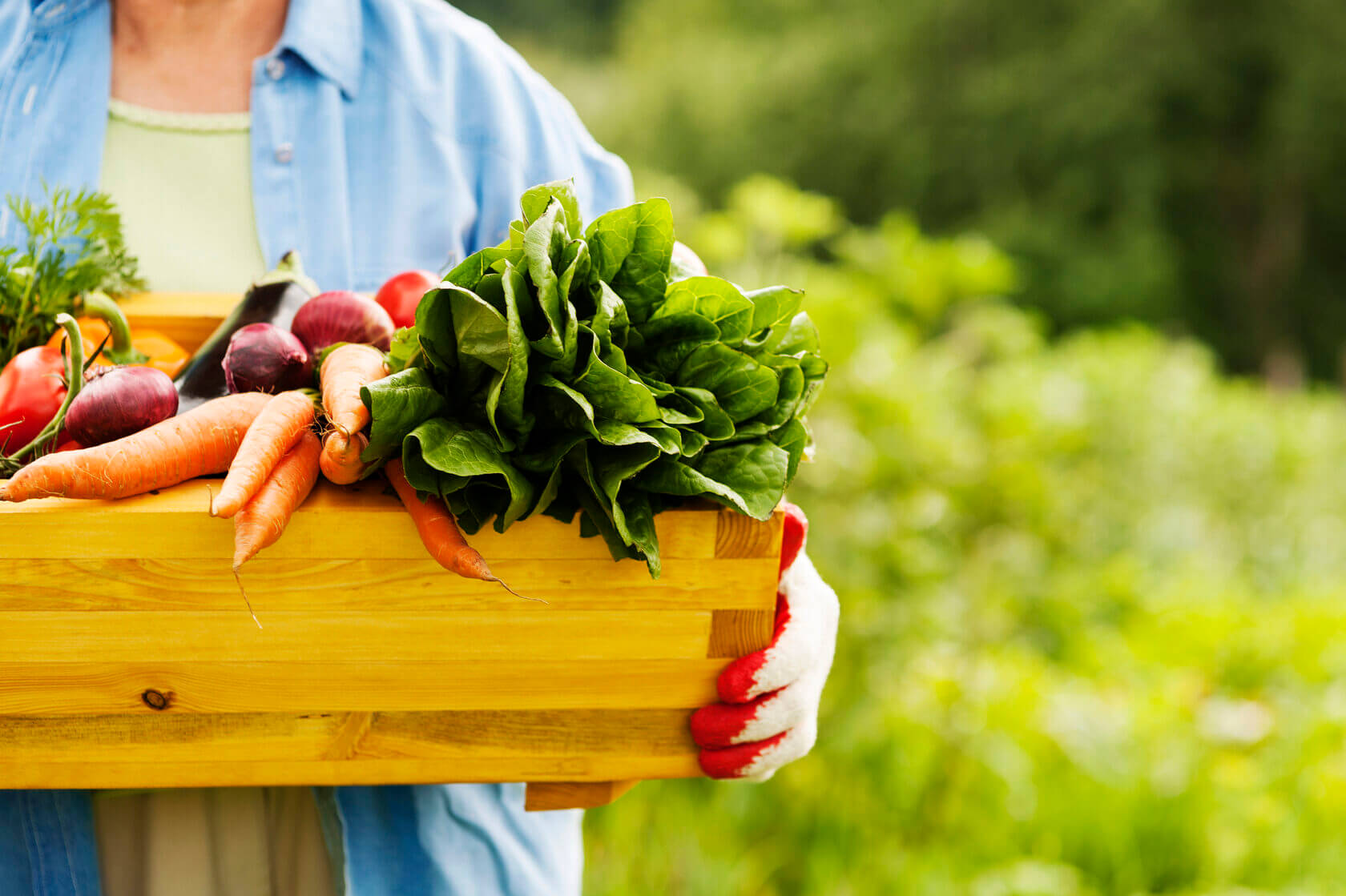Возможность выращивать свои собственные овощи и фрукты