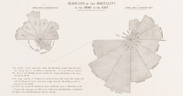 диаграммы Флоренса Найтингейла