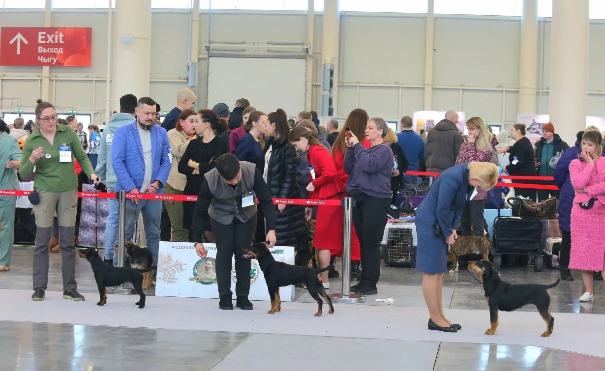 Сравнение на ЛПП