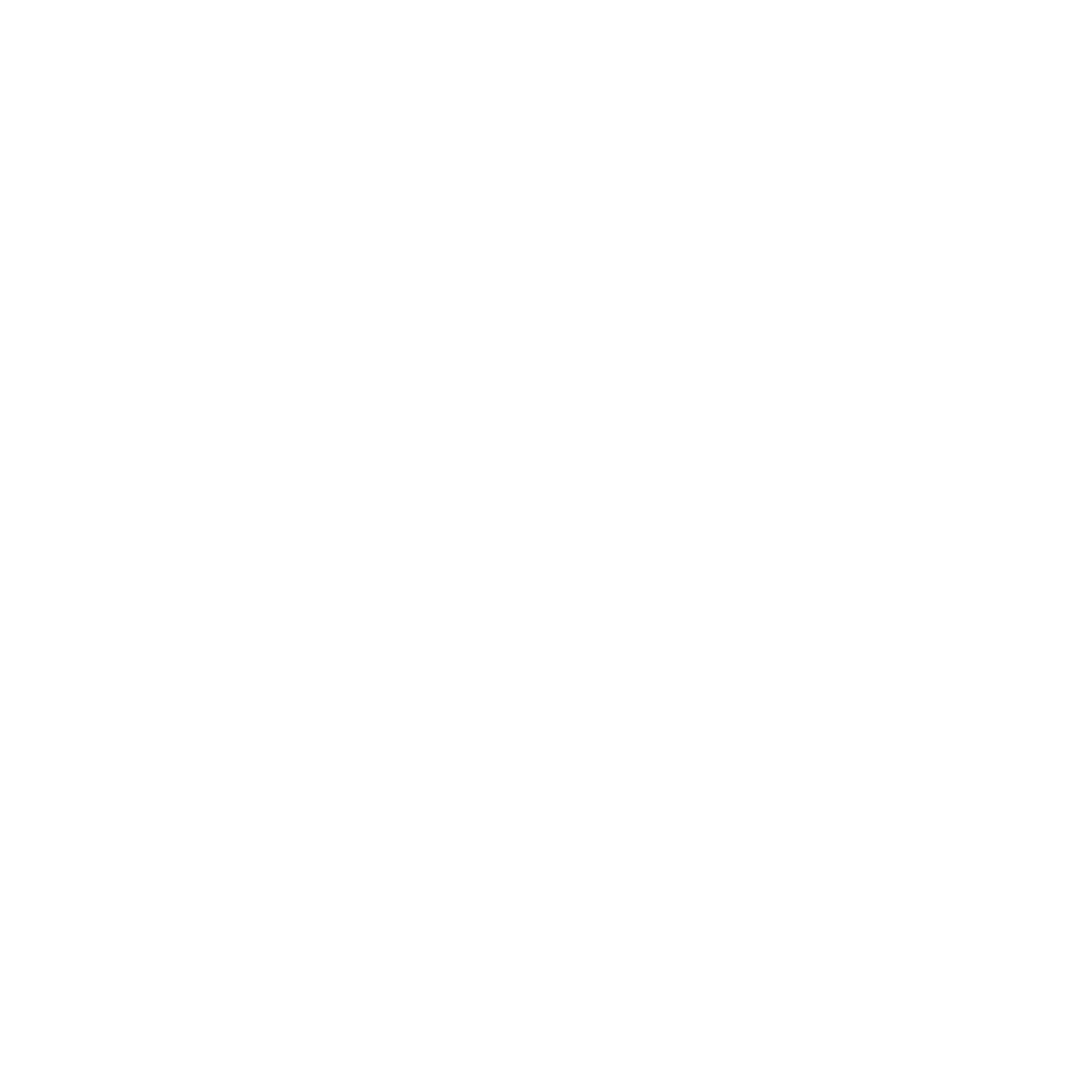 OTIS PARTNERS