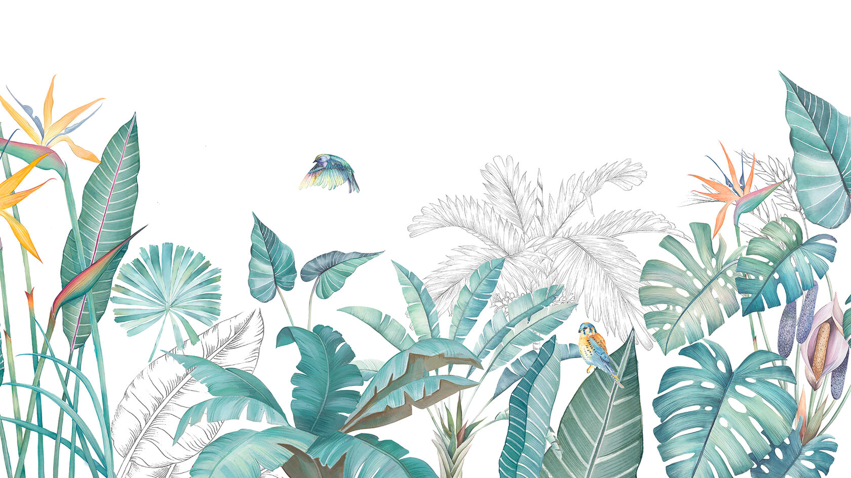 Тропические растения на белом фоне