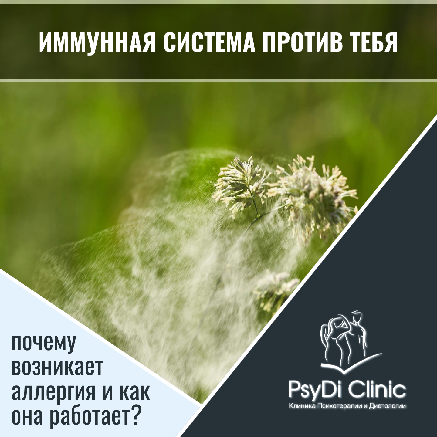 Иммунная система против тебя: почему возникает аллергия и как она работает?