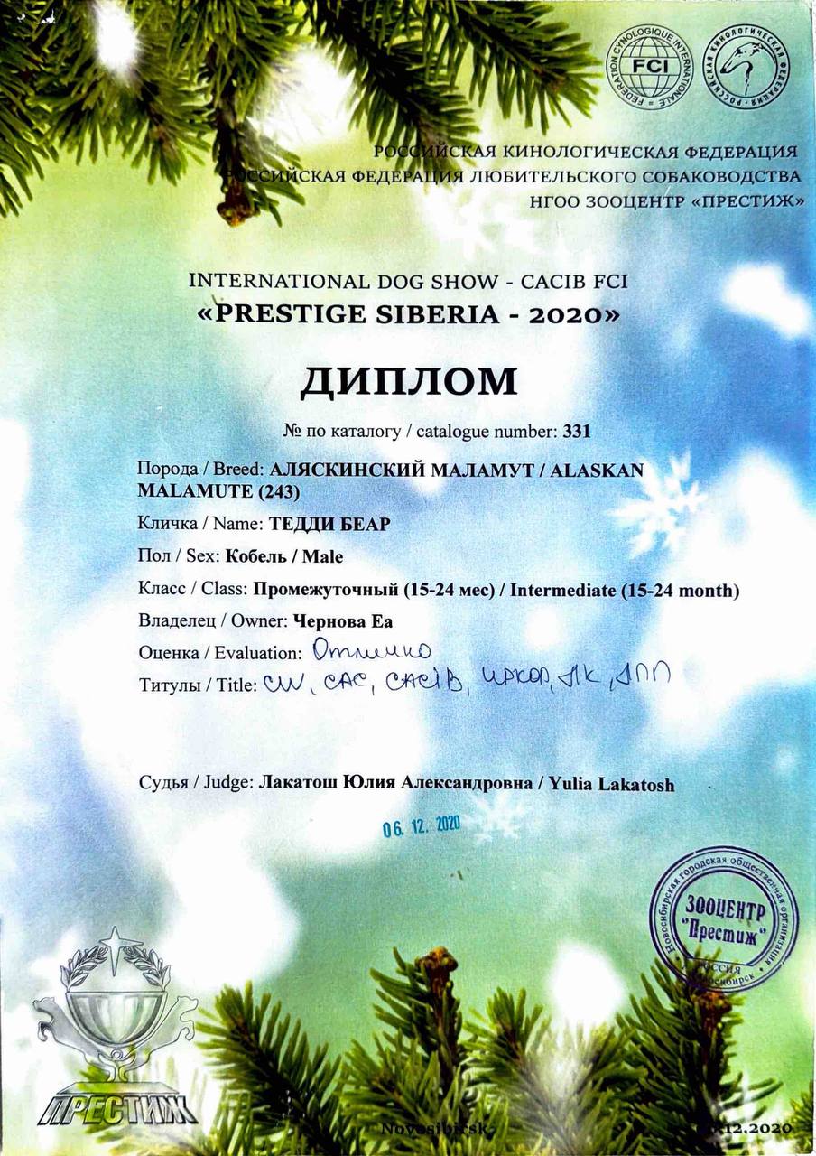 Диплом выставки Prestige Siberia