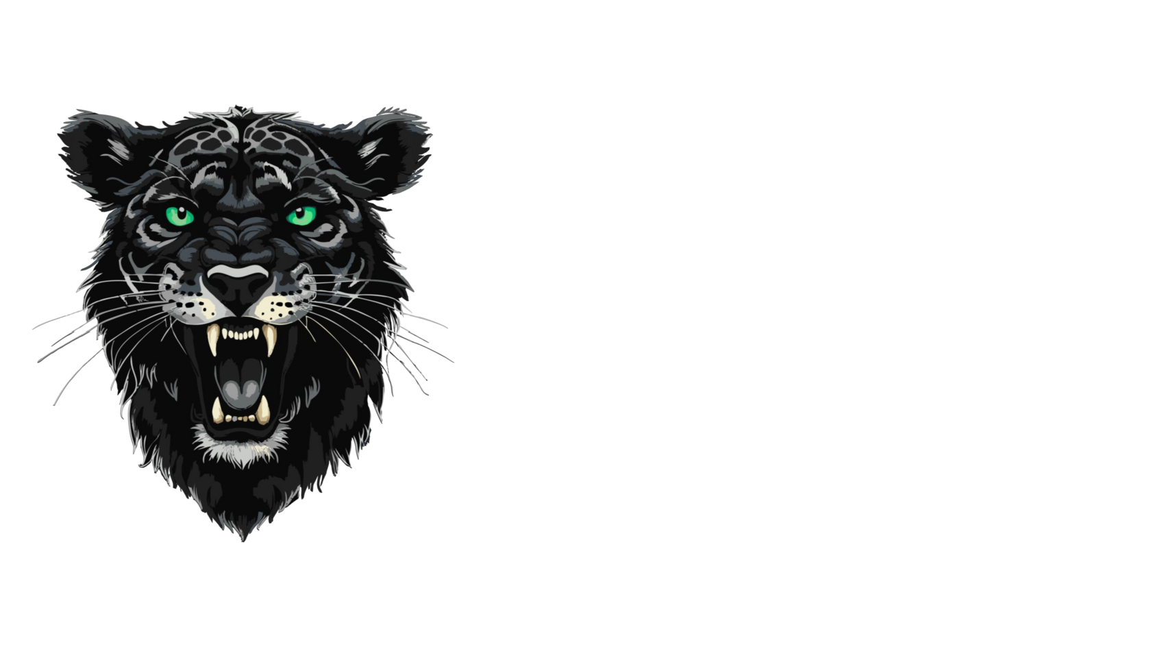  BLACK BARS | VR ARENA 