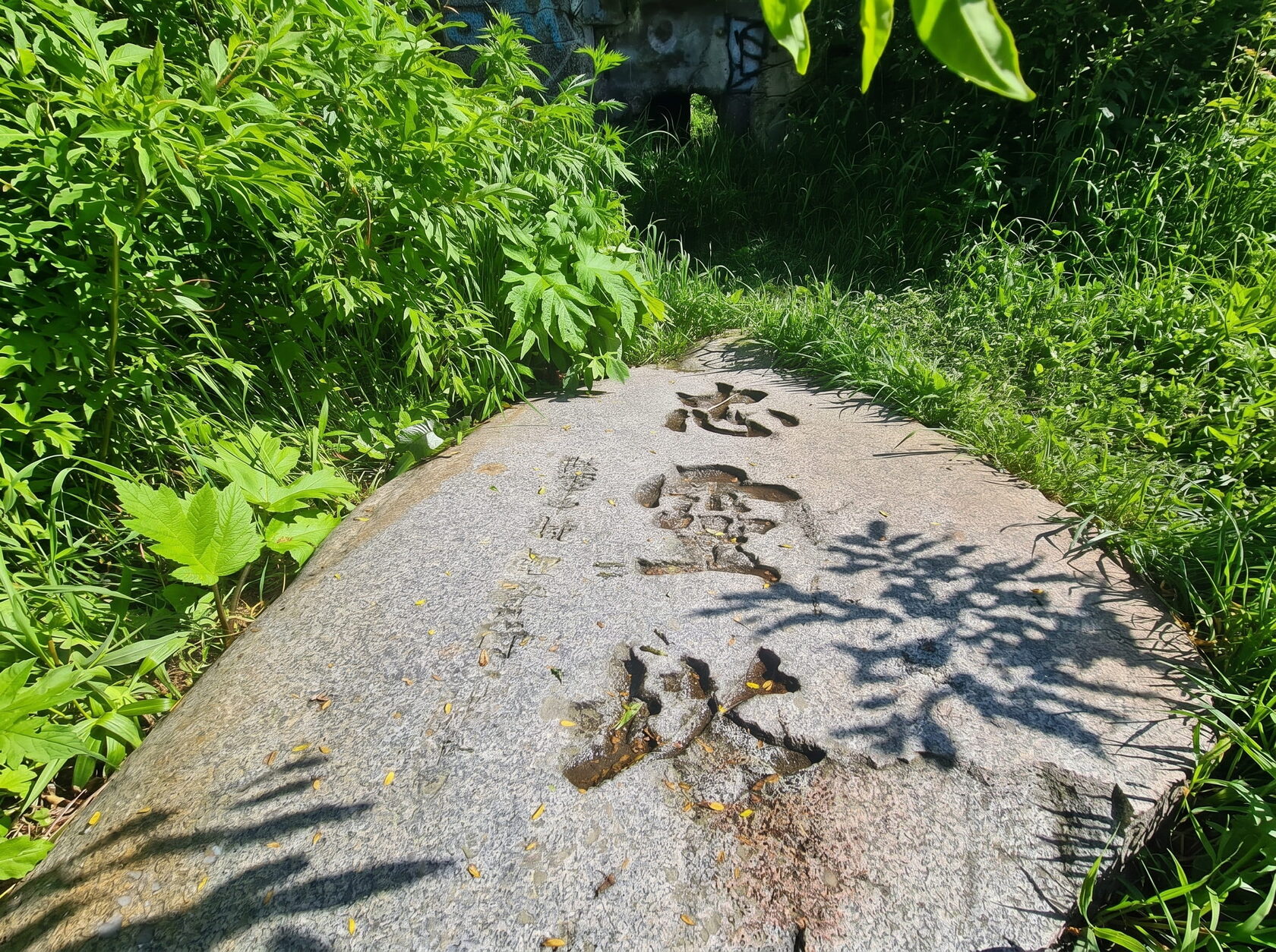 Корсаков