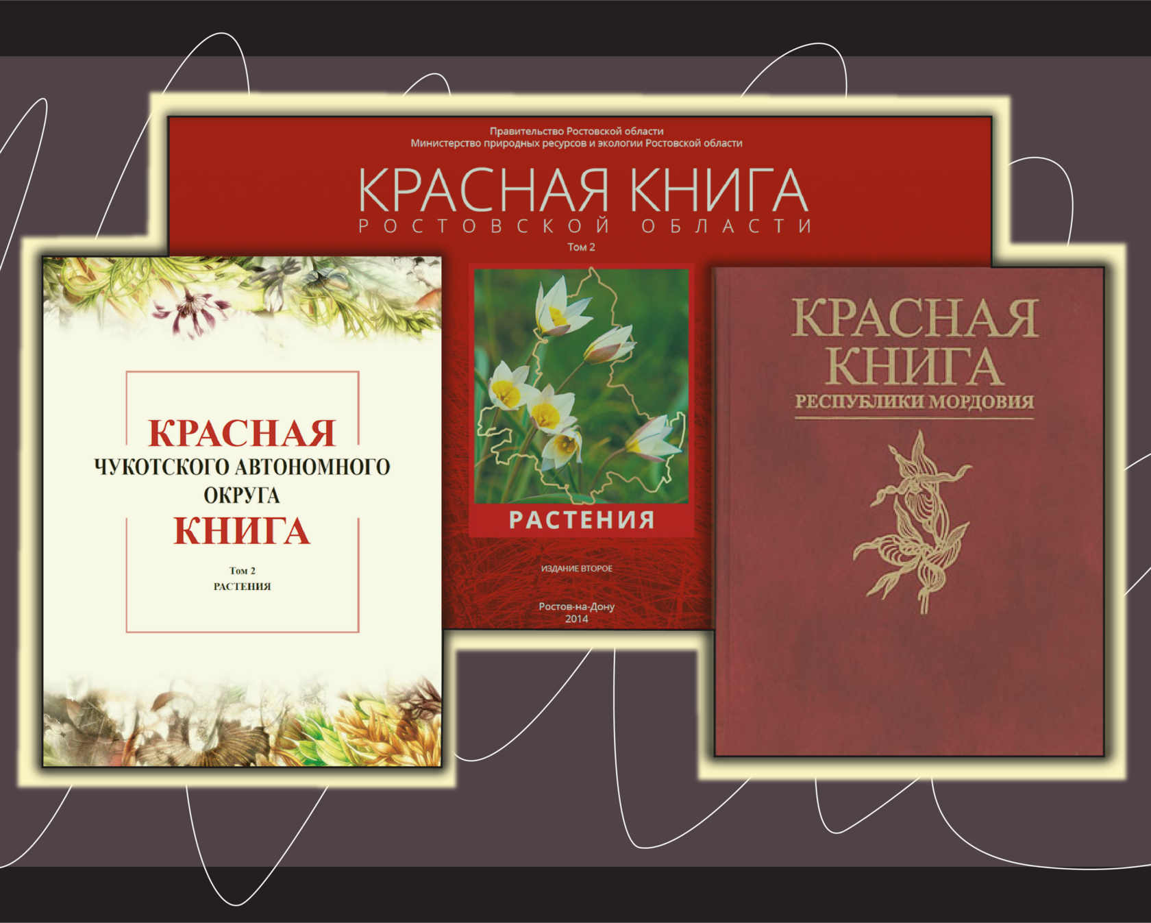 Красные книги: интересные детали и спорные моменты - Юлия Федорова