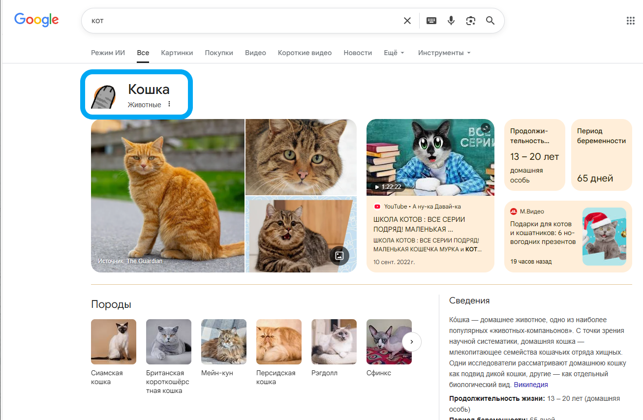 Как открыть секретную функцию кошачьих лапок в Google